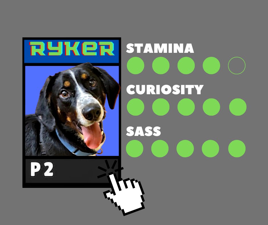 HARTforAnimals's tweet image. To choose your new best friend, please visit the included link!
(or press: up-up-down-down-left-right-left-right-b-a-select-start)

hartforanimals.org/meet-the-pets