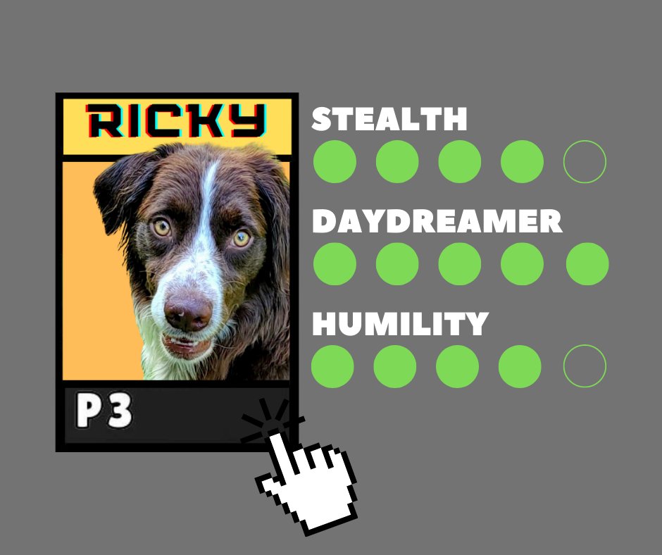 HARTforAnimals's tweet image. To choose your new best friend, please visit the included link!
(or press: up-up-down-down-left-right-left-right-b-a-select-start)

hartforanimals.org/meet-the-pets