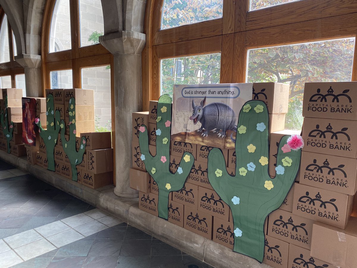 StPaulsLuthDC's tweet photo. Our cacti were sprouting with all kinds of God Sightings last week! https://t.co/yHD1967T3d