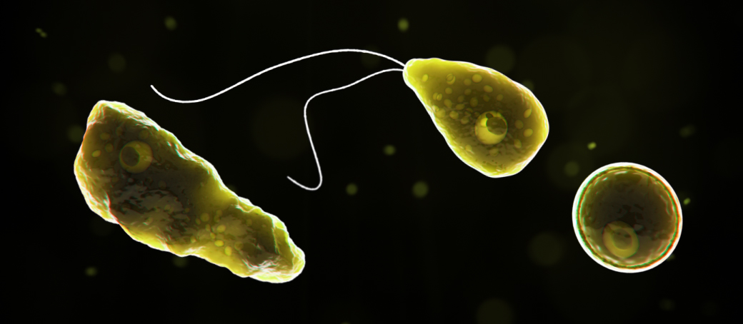 HealthyLivingMo's tweet photo. NEWS: We have confirmed a rare brain infection in a Missourian caused by an ameba called Naegleria fowleri. The infection is known as primary amebic meningoencephalitis (PAM) - it is not contagious, but can be life threatening. The patient is being treated in ICU.

🧵 https://t.co/diSioKi96D