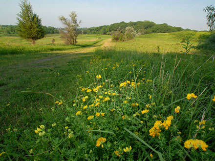 UpperMidwestTR's tweet photo. Less than a week till trail work night at Hyland with @arc'teryx https://t.co/8yckTnOzbi