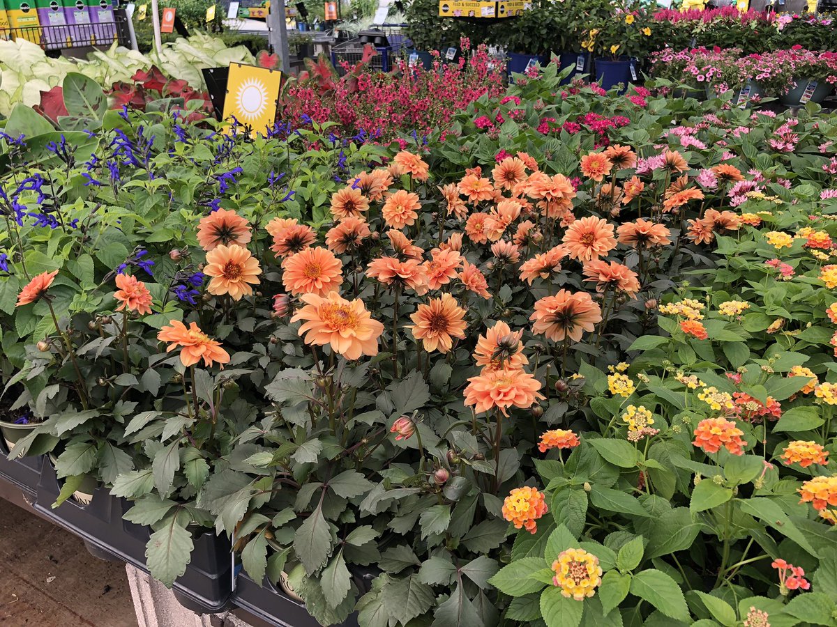 AlanF-Battlefieldfarms tweet media