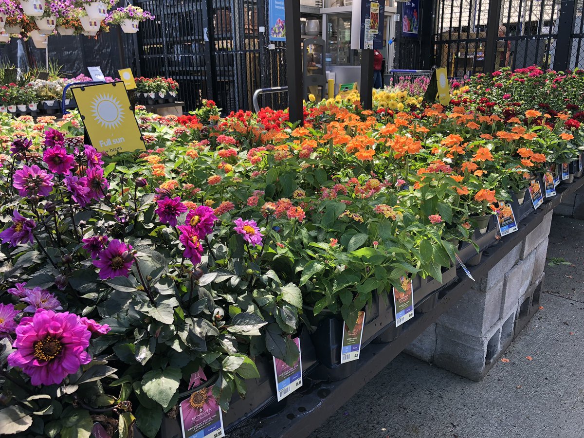 AlanF-Battlefieldfarms tweet media