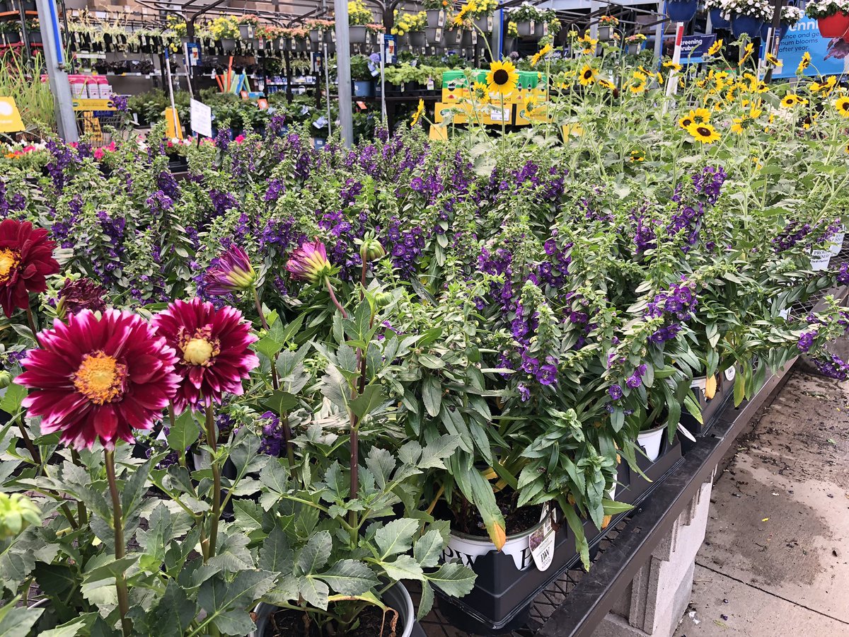 AlanF-Battlefieldfarms tweet media