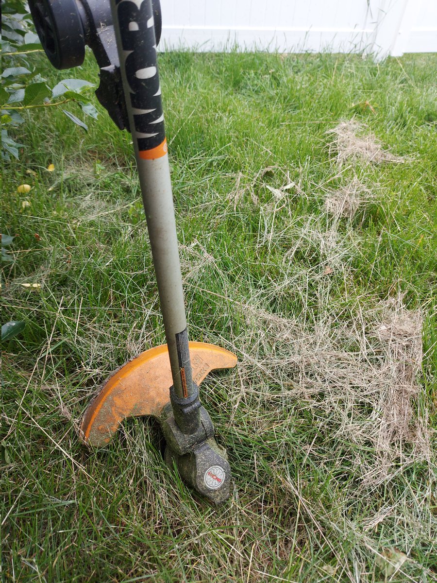 gisellegeneral's tweet photo. @CityofEdmonton #IGoBagless in my small townhouse backyard. All I need is a weed whacker! 😄 https://t.co/V0iMHZMj3M