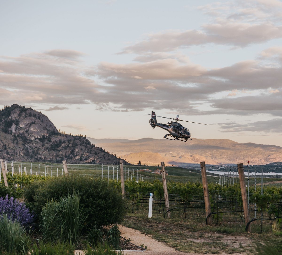 Our favourite way to wine tour! Call us to help arrange your helicopter arrival for a tasting or lunch. 🚁