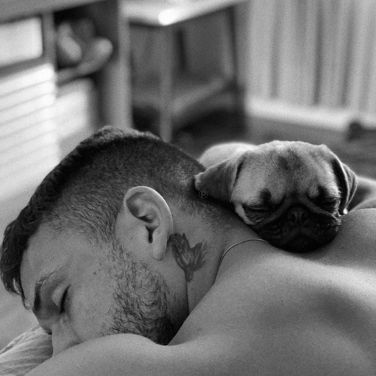 photogph's tweet photo. Um amor que só! 💙

#ElaPH
#ElePH https://t.co/E8DMwRyhCM