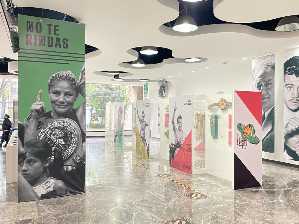 wbcmoro's tweet photo. Te invito a visitar la exposición @WBCBoxing en las instalaciones de Pronósticos deportivos en Insurgentes sur @lotenal . Si te gusta el boxeo quedarás maravillado https://t.co/oVkIUr5dAp