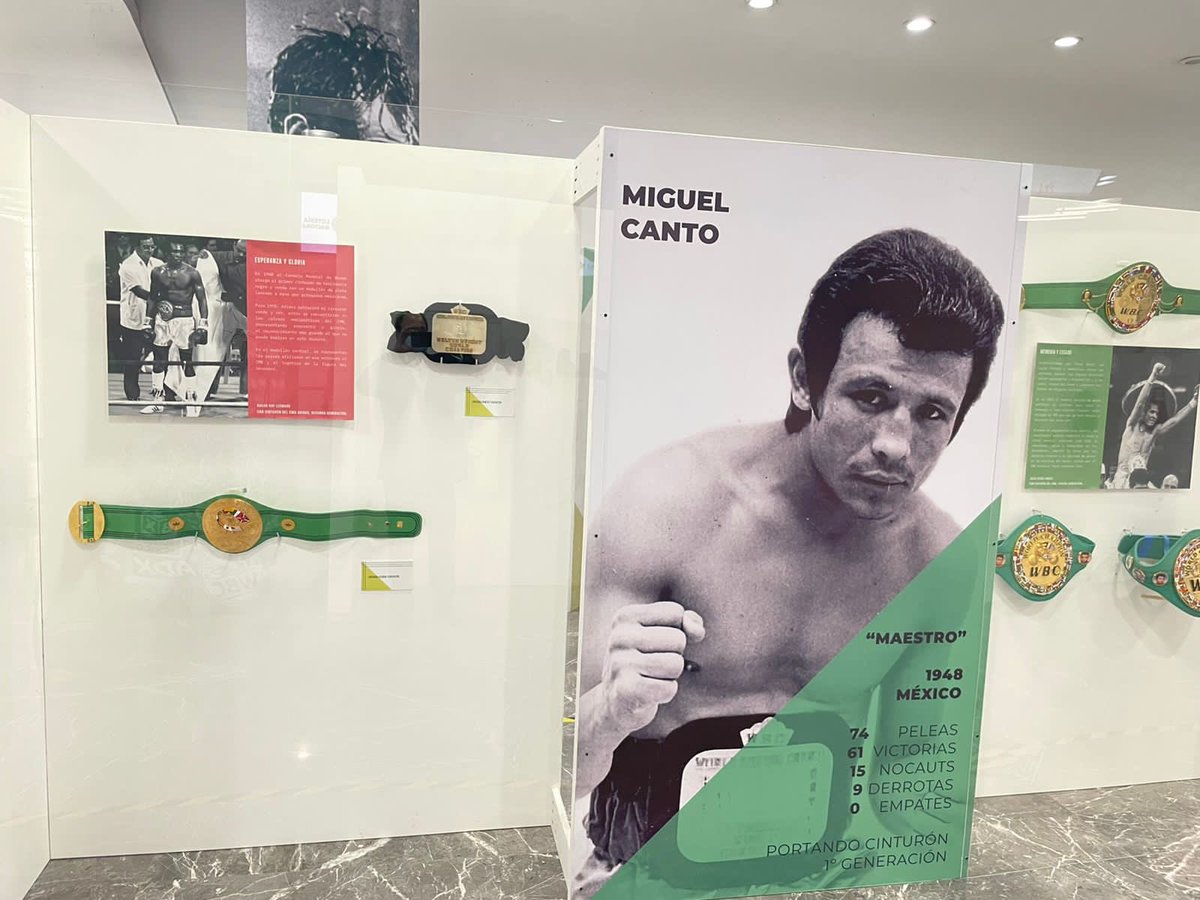 wbcmoro's tweet photo. Te invito a visitar la exposición @WBCBoxing en las instalaciones de Pronósticos deportivos en Insurgentes sur @lotenal . Si te gusta el boxeo quedarás maravillado https://t.co/oVkIUr5dAp