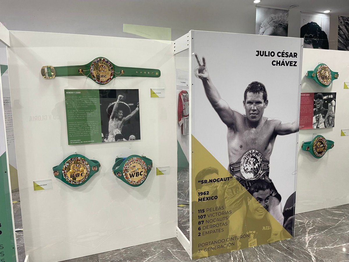 wbcmoro's tweet photo. Te invito a visitar la exposición @WBCBoxing en las instalaciones de Pronósticos deportivos en Insurgentes sur @lotenal . Si te gusta el boxeo quedarás maravillado https://t.co/oVkIUr5dAp