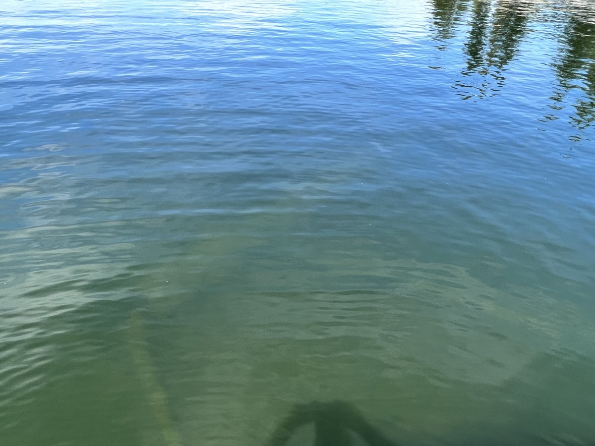 365Charters's tweet image. A great example of the power of Humminbird Mega 360. #humminbird #minnkotamotors