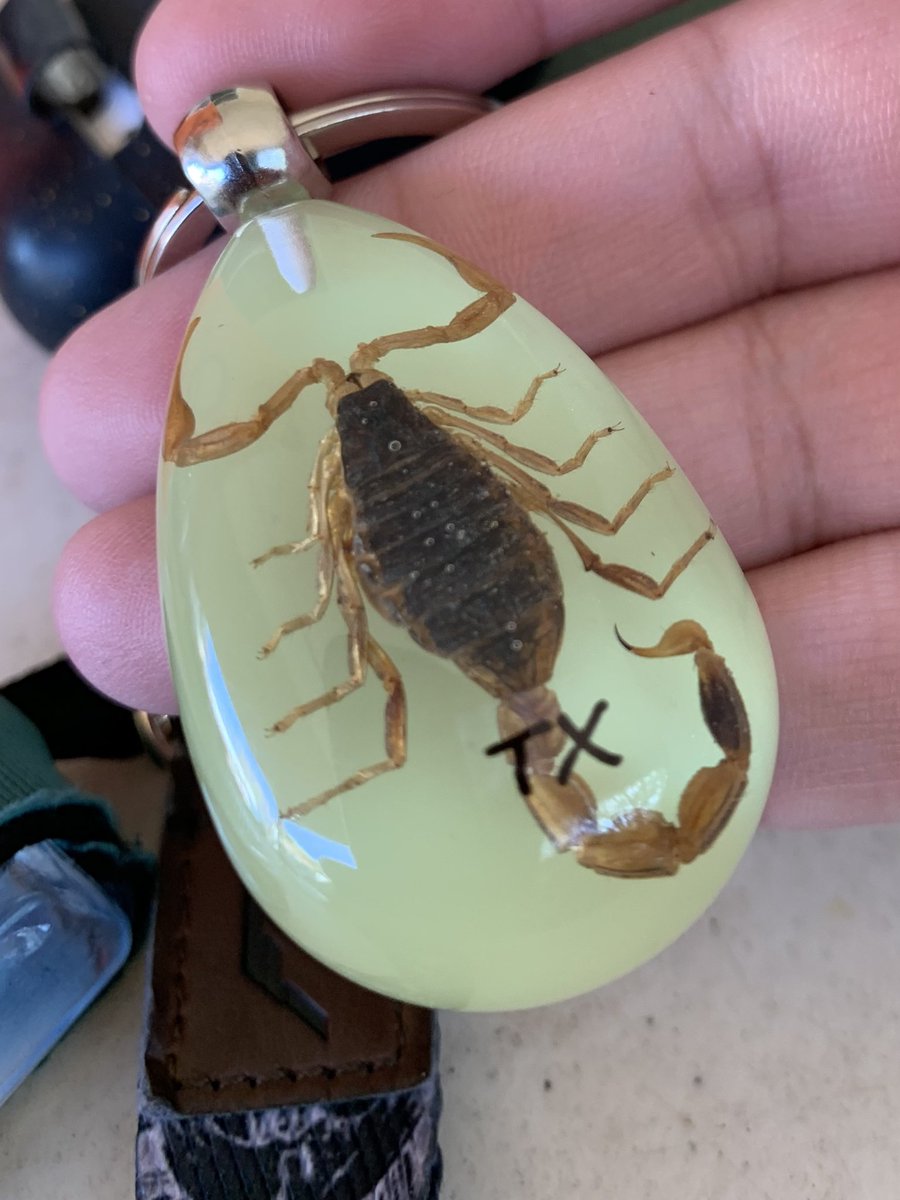 this keychain that i got at a random gas station is my most prized possession <33