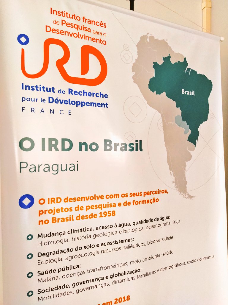 alice.fassoni tweet media