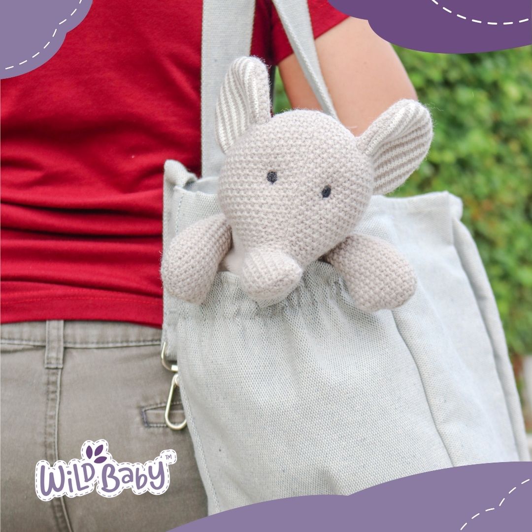 wildbabycom's tweet photo. Every Wild Baby Plush Pal is designed to be travel-friendly in size. The perfect pal to take on any adventure! 💖 https://t.co/bxhE8dSdKv
