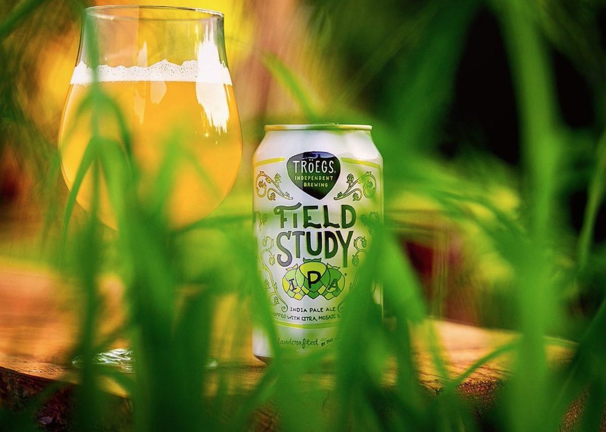 TroegsBeer's tweet photo. Make sure you get Field Study IPA's notes of ripe grapefruit, pear and a hint of melon before they're gone until next year! https://t.co/JFWBOgLKF1 (📷: Mike Crupi) #Troegs #HopCycle #FieldStudy #PABeer https://t.co/I8d3FWTHCS
