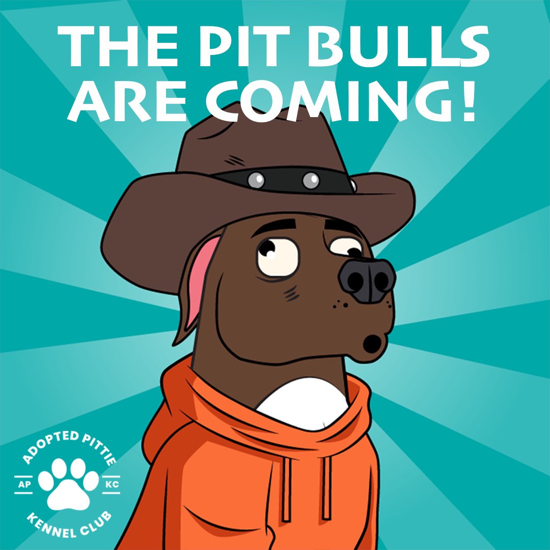 Finally our #charity #NFT project to raise funds for #pitbull #rescues is kicking off! Take a gander at APKC.xyz