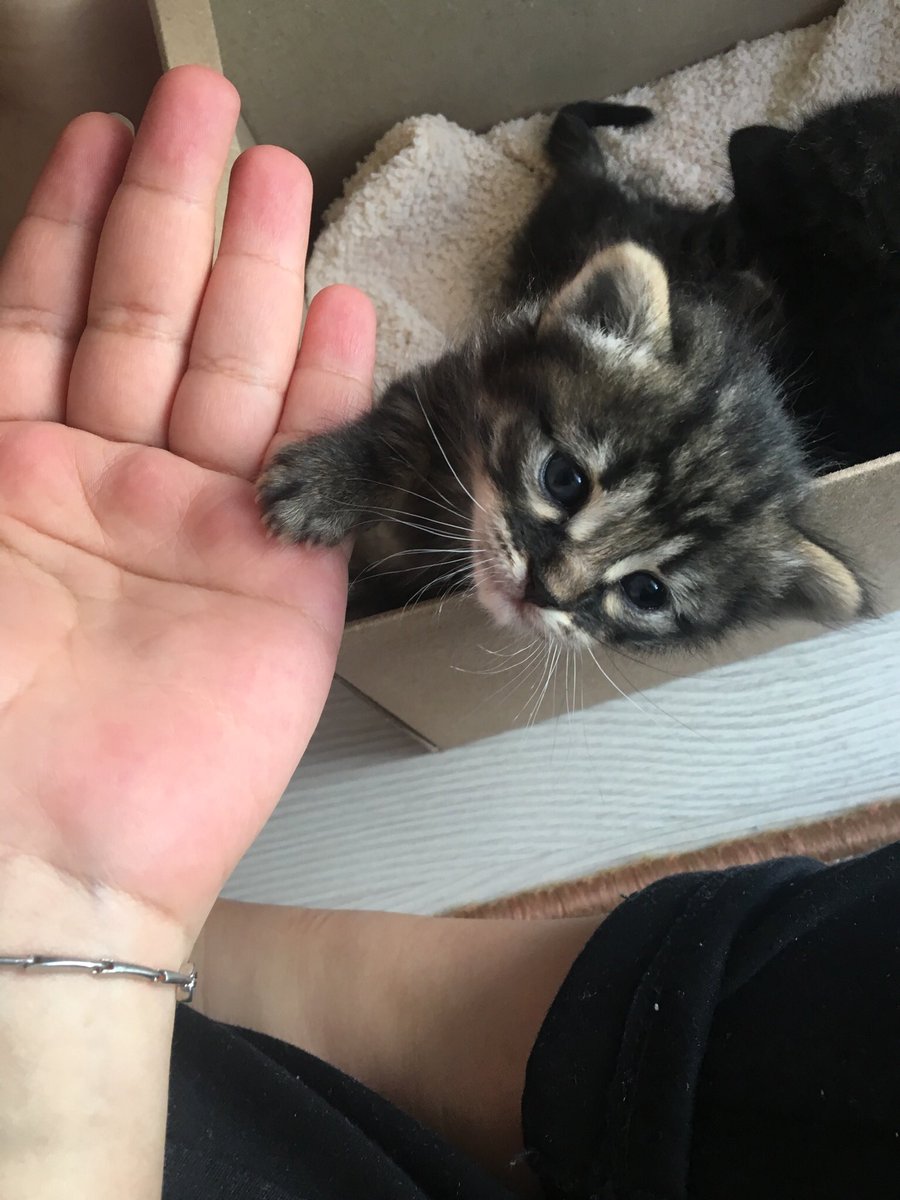 hangireiss's tweet photo. Pozitif basalım, çok özledim şimdiden 🥺🖤 https://t.co/PgsJKvEFp8