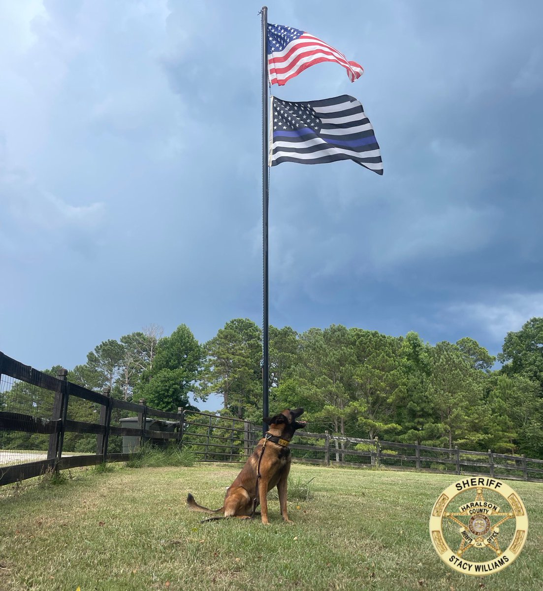 No words needed…
#K9Janco 
#DayOff #K9
#OffDuty #Malinois #K9Unit #Photogenic #GoodBoy #FlagsFlying #Home #K9Life #Dogs