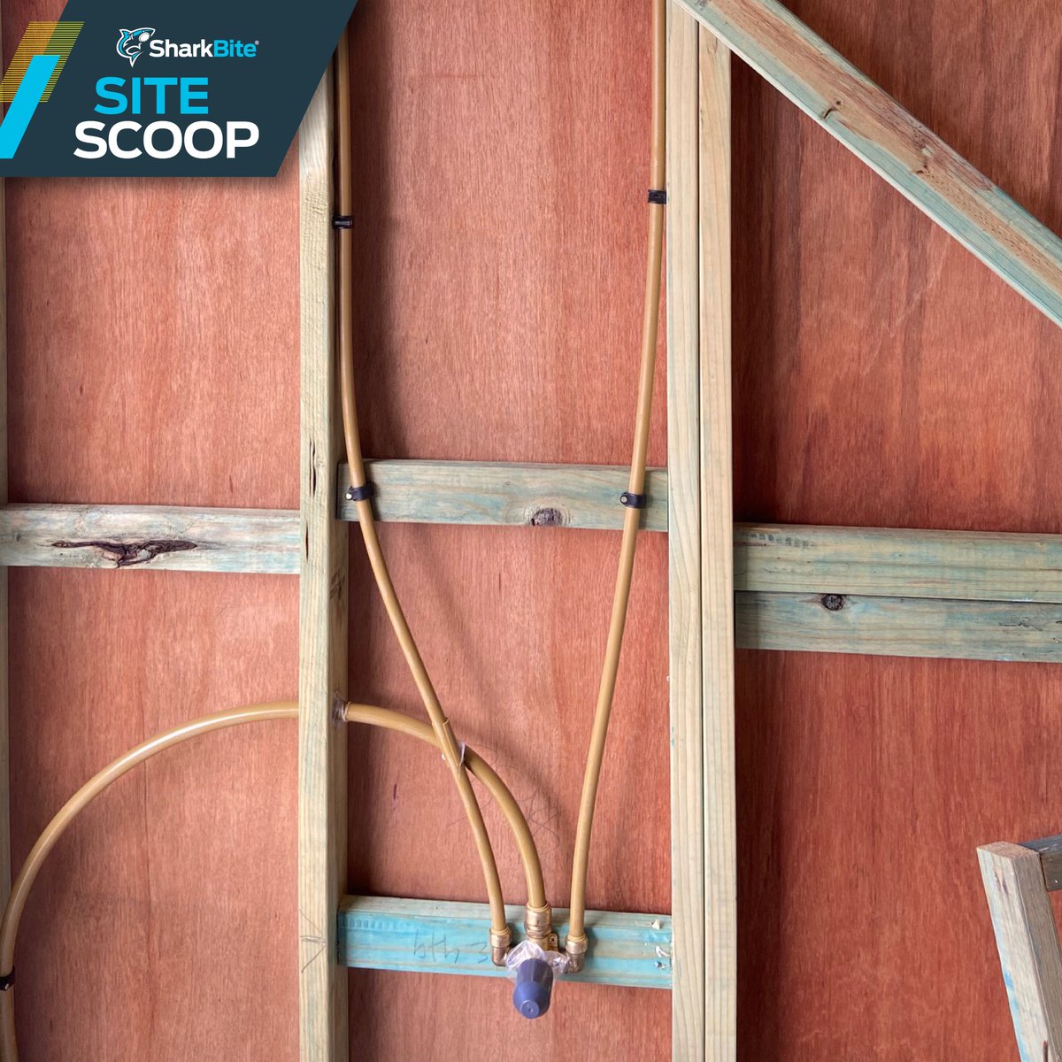 Another quality rough-in, using SharkBite PEX Pipe and Fittings. If you’re looking to increase productivity with a proven system, check out the SharkBite website and get on board with a half-day Friday 😉
sharkbite.com.au
#SharkBiteAustralia #CutPushDone #HalfDayFriday