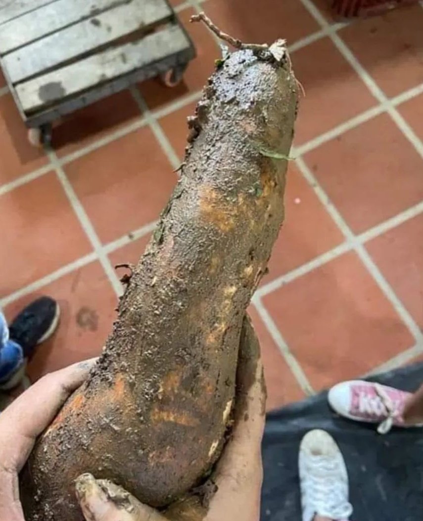 -Mi Novia: Amor ¿porque paraste? Ya no me estaba doliendo 🤤.

-Yo:... 😊

#TeAmoBebesota #MiBebitoFiuFiu