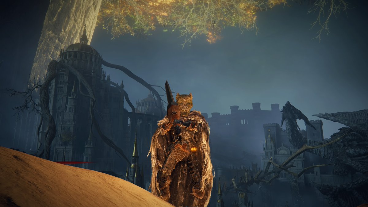 ErikRc_'s tweet photo. Quien diria que para llegar aqui he gritado mucho #EldenRing #PS4share https://t.co/GcFjwr6kw1