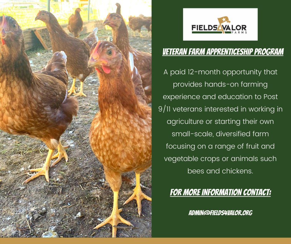 fields4valor's tweet image. Inquire about our 12-month paid Veteran Farm Apprenticeship program. Admin@fields4valor.org
#vetsgrowgood #veteranfarm #fields4valorfarm #betterfarmfresh
