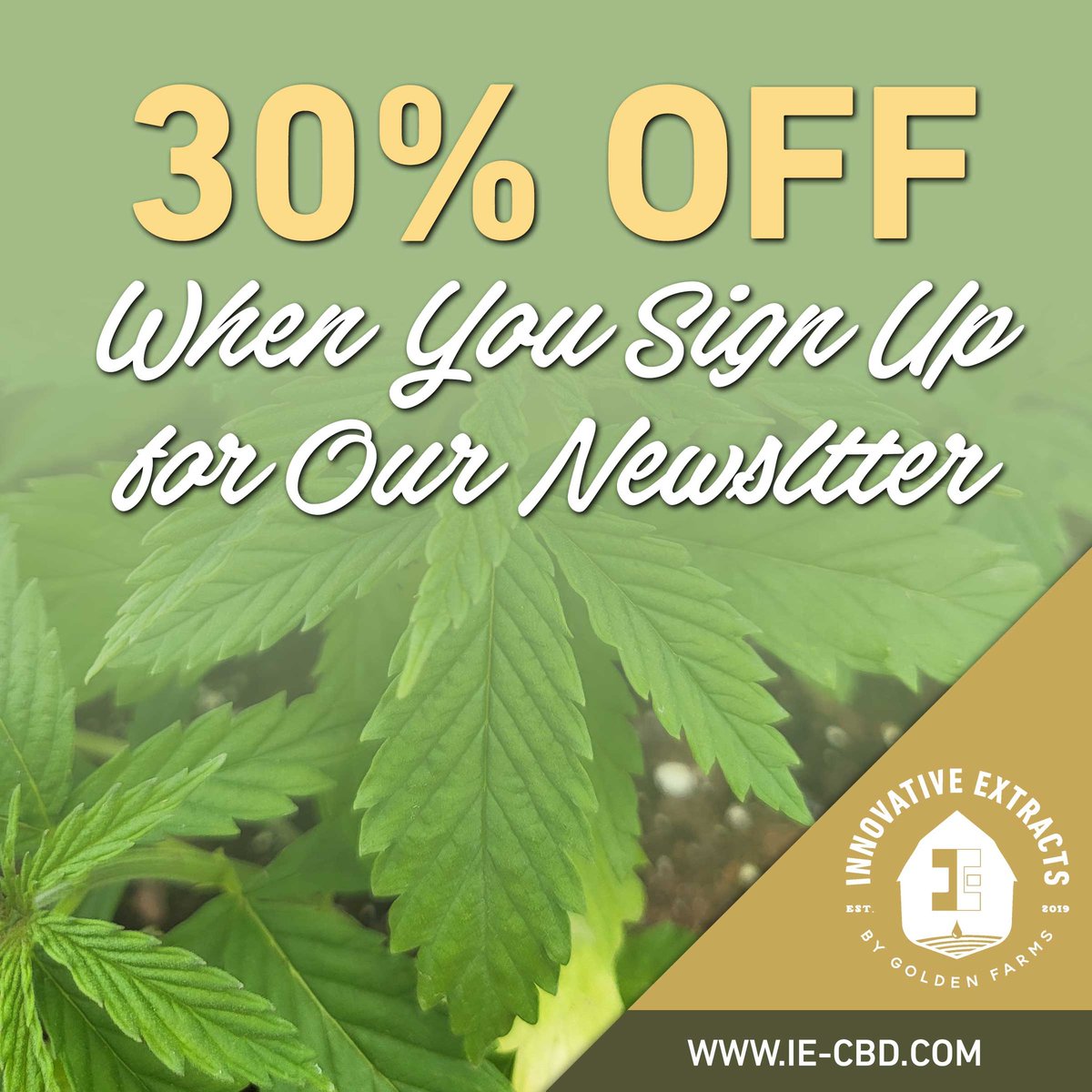 ie_cbd's tweet photo. You can sign up for our newsletter and get 30% your order!

#veteranowned #cbd #localbusiness #newsletter #discount https://t.co/5Zvv10nhhX
