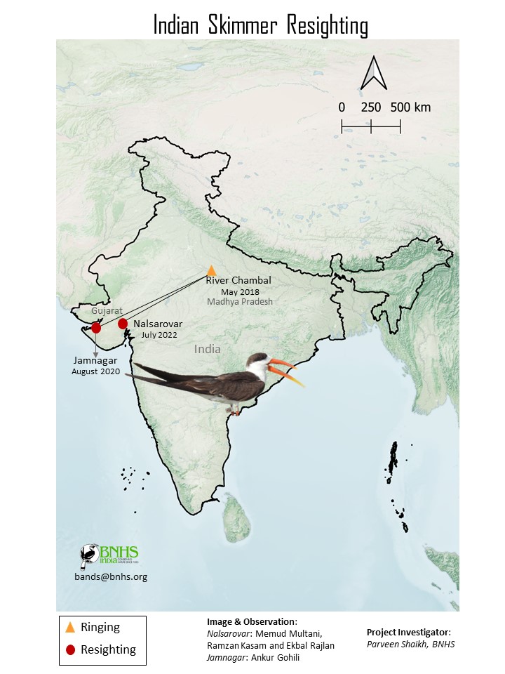 Bombay Natural History Society tweet media