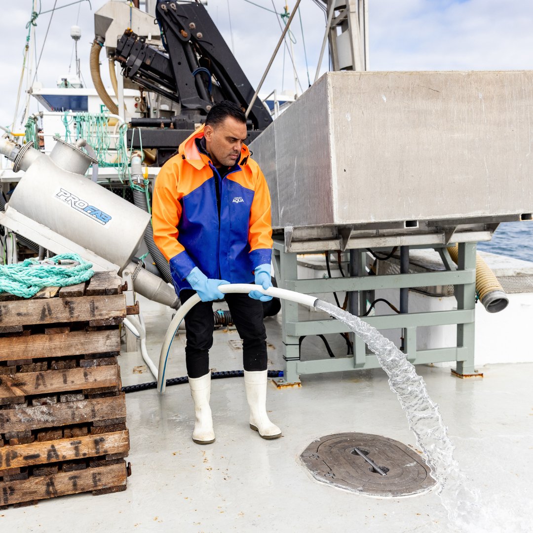 IndigLandSea's tweet photo. Check out today's good news story! In 2020, traditional owners in the Eyre Peninsula joined forces with fishing company, Stehr Group to create a 100% Indigenous-owned commercial fishing venture called Wanna Mar. 

Read more: https://t.co/TJUcxJ3ZNH

 #workingoncountry #NAIDOC22 https://t.co/OGzxIgaKw4
