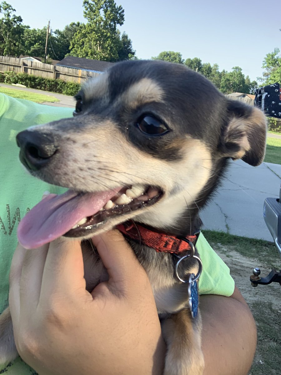 Víctor Ramón tweet media