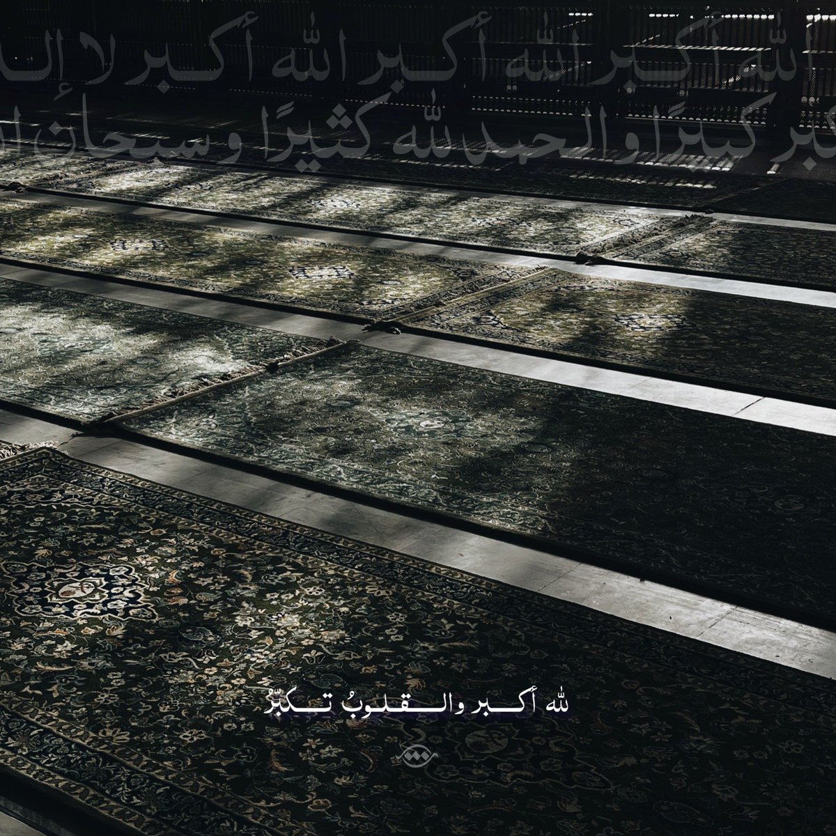 alshima90s_DPR's tweet photo. ﷲ أكبر والقلوبُ تكبّرُ
كُل العظامِ أمامَ ربّي تصغرُ 🕋🍃 https://t.co/8w3aRcpNQT