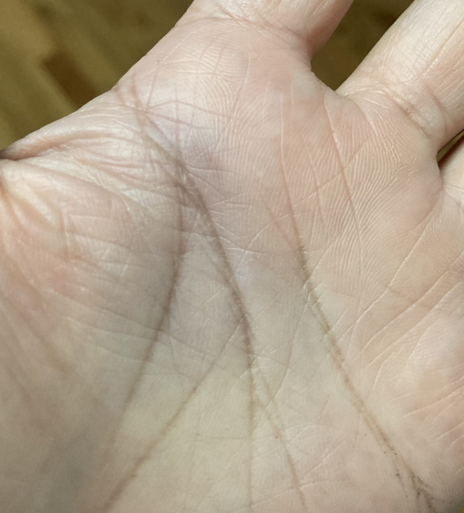 アメリカ夜間飛行 31night Flight Twitter