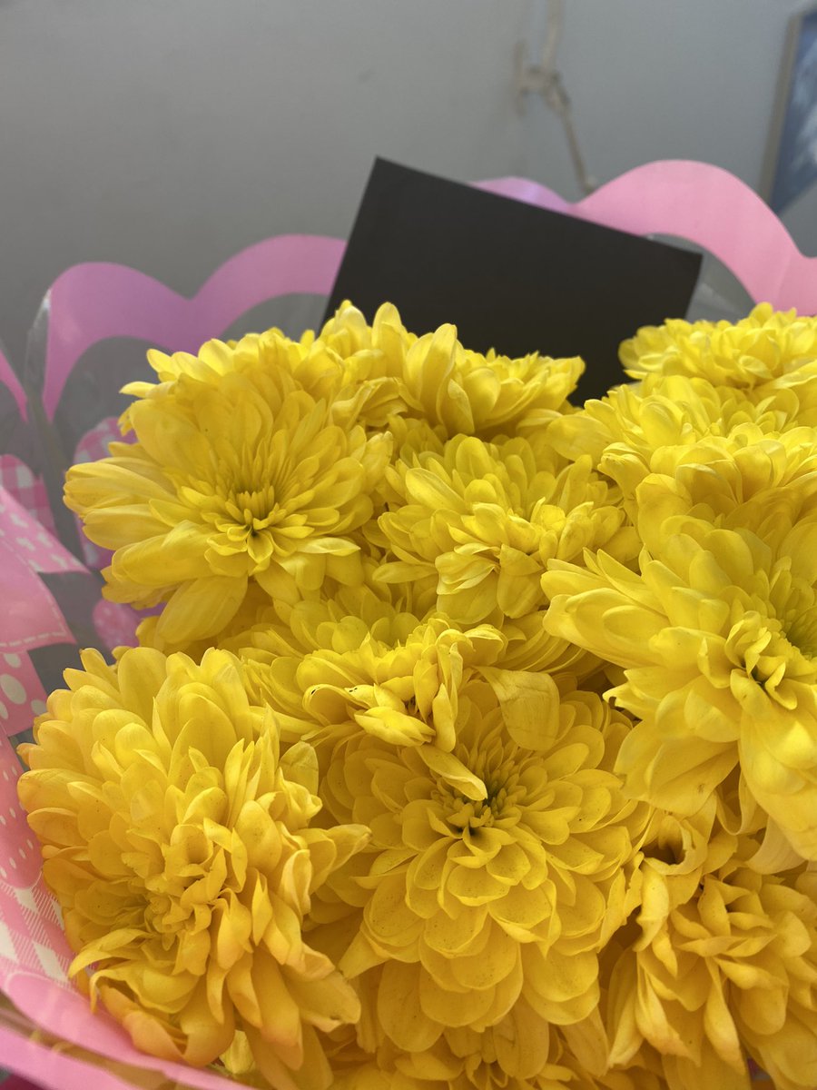 glubs_c's tweet photo. eu ganhei flores da minha namorada, e são da minha cor favorita!!!!
#namorarémuitobom #namorem #amorélindo https://t.co/OvyZiEg4mU