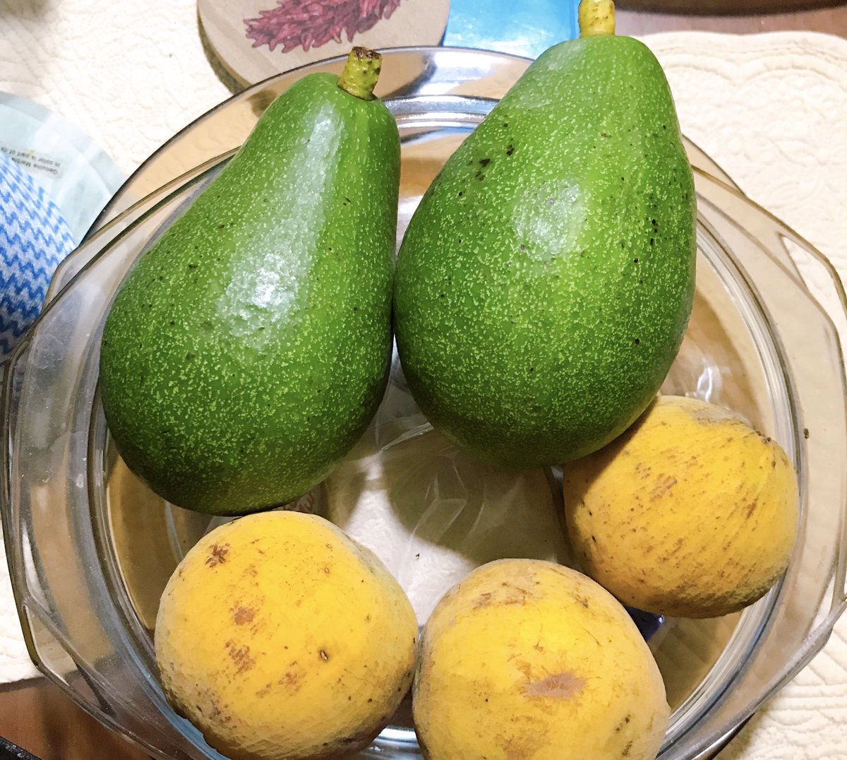 foodamnph's tweet photo. Batangas local fruits. 
Thanks neighbor!

#santol #avocado #freshavacado #kapitbahayfoodseries #foodamnphilippineskapitbahayseries #foodamnph #foodamnphilippines #foodamn https://t.co/8zdxVw8fkJ