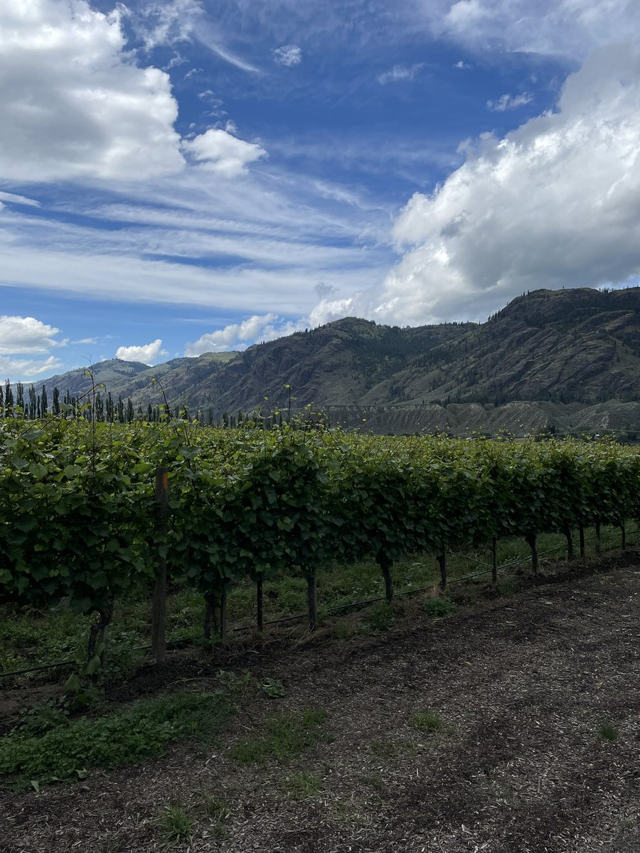 We had a fantastic time with <a href="/Divinetourskam/">Terri Axani</a> today - so much energy, potential, and delicious wine in Kamloops! #yka #kamloopswinetrail #bcwinetours