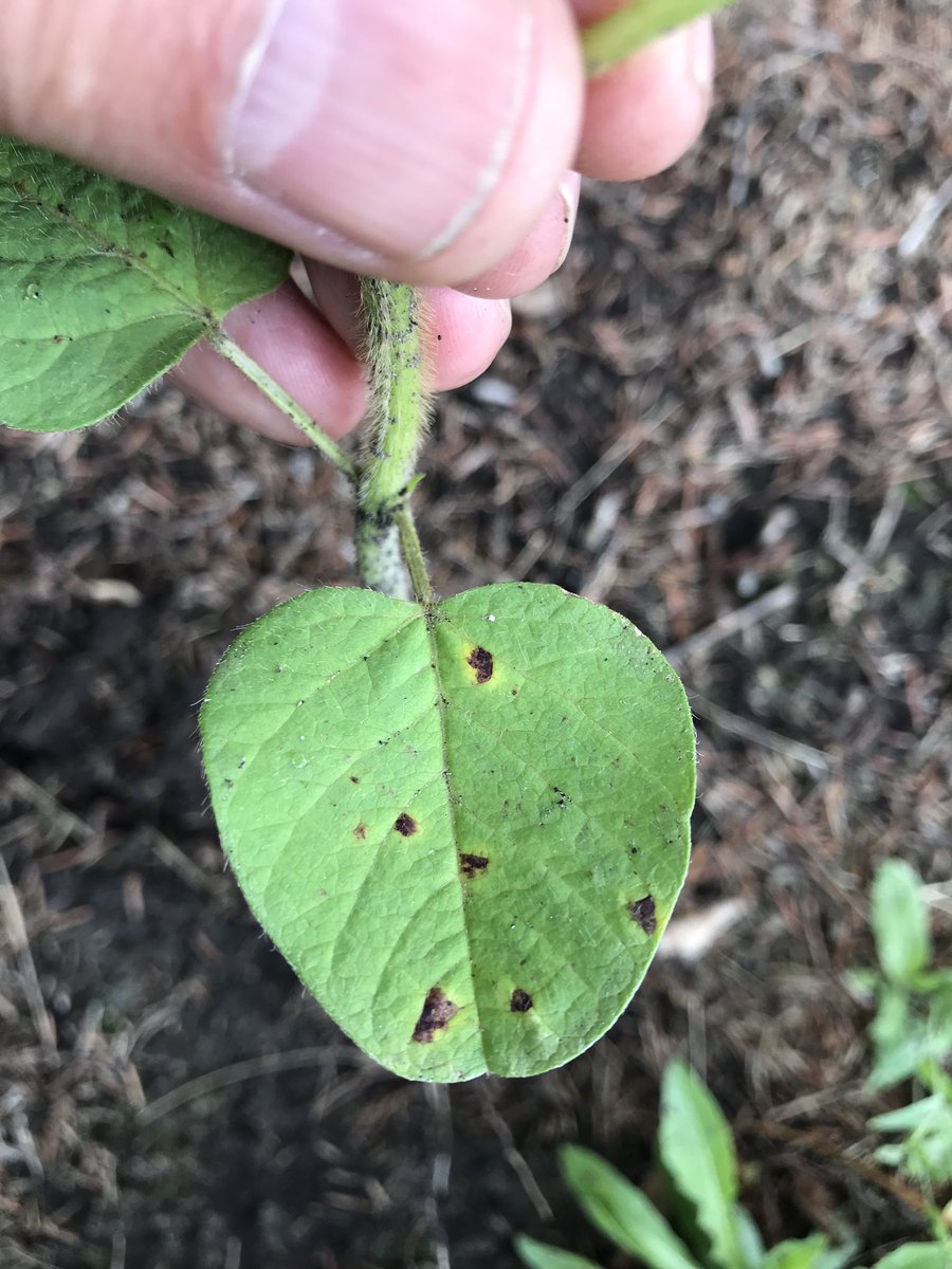 David A. Kaminski tweet media