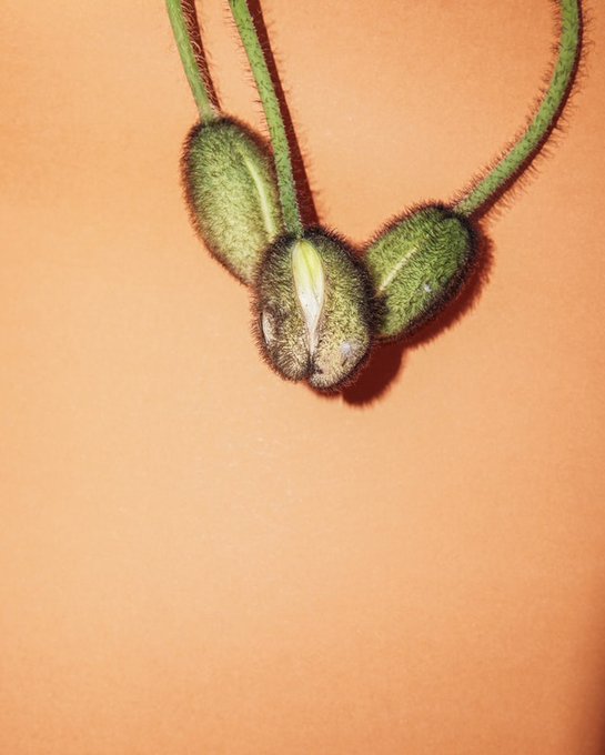 I recently smelled my friend's cute hairy armpit. Just wanted to give you that mental image to fuel your<a href="/tag/manyvids"class="tags"><span>#manyvids</span></a>