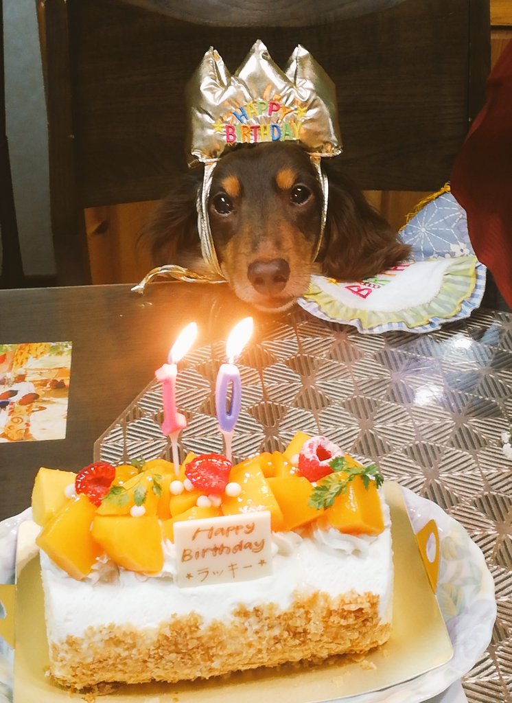 ラッキー王子 tweet media