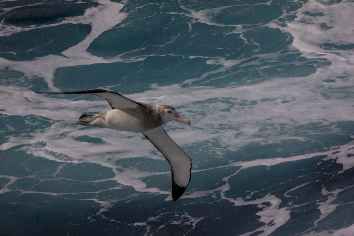 I think you meant to post this photo instead <a href="/RealTeamHihi/">RealTeamHihi</a>?