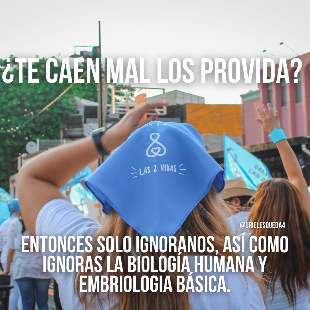 ¿Te caen mal los PROVIDA?