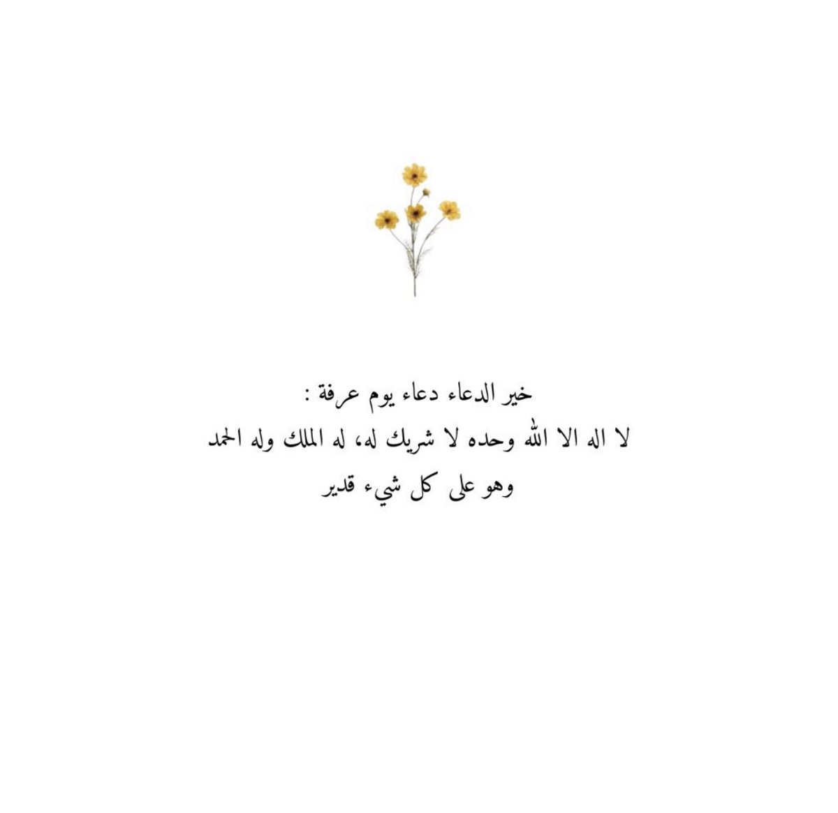 xhkx9's tweet photo. يوم عرفه
تصبحون على خير ♥️ https://t.co/g195iBYAGg