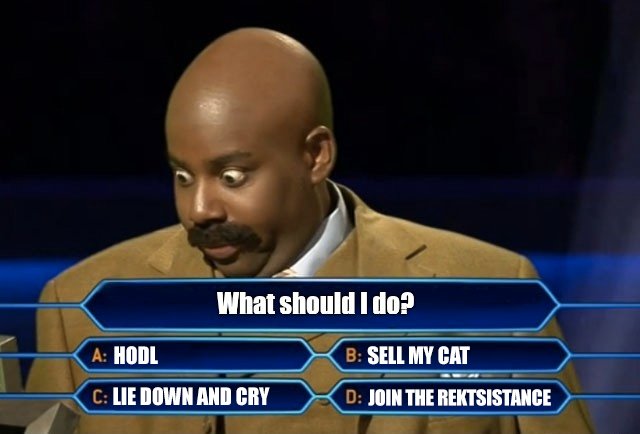 The REKT Collection tweet media