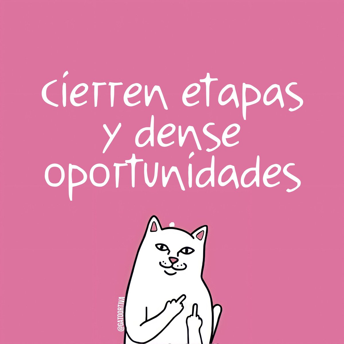 Gato Ortiva (@elgatoortiva) on Twitter photo 