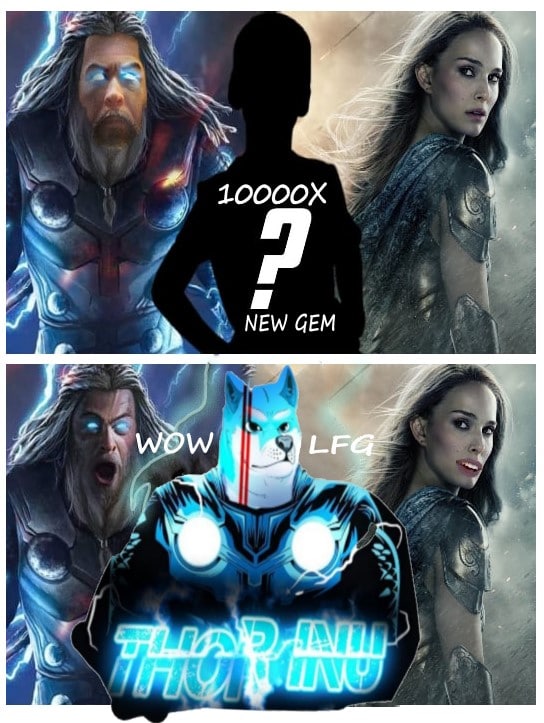 Thor Inu Official tweet media