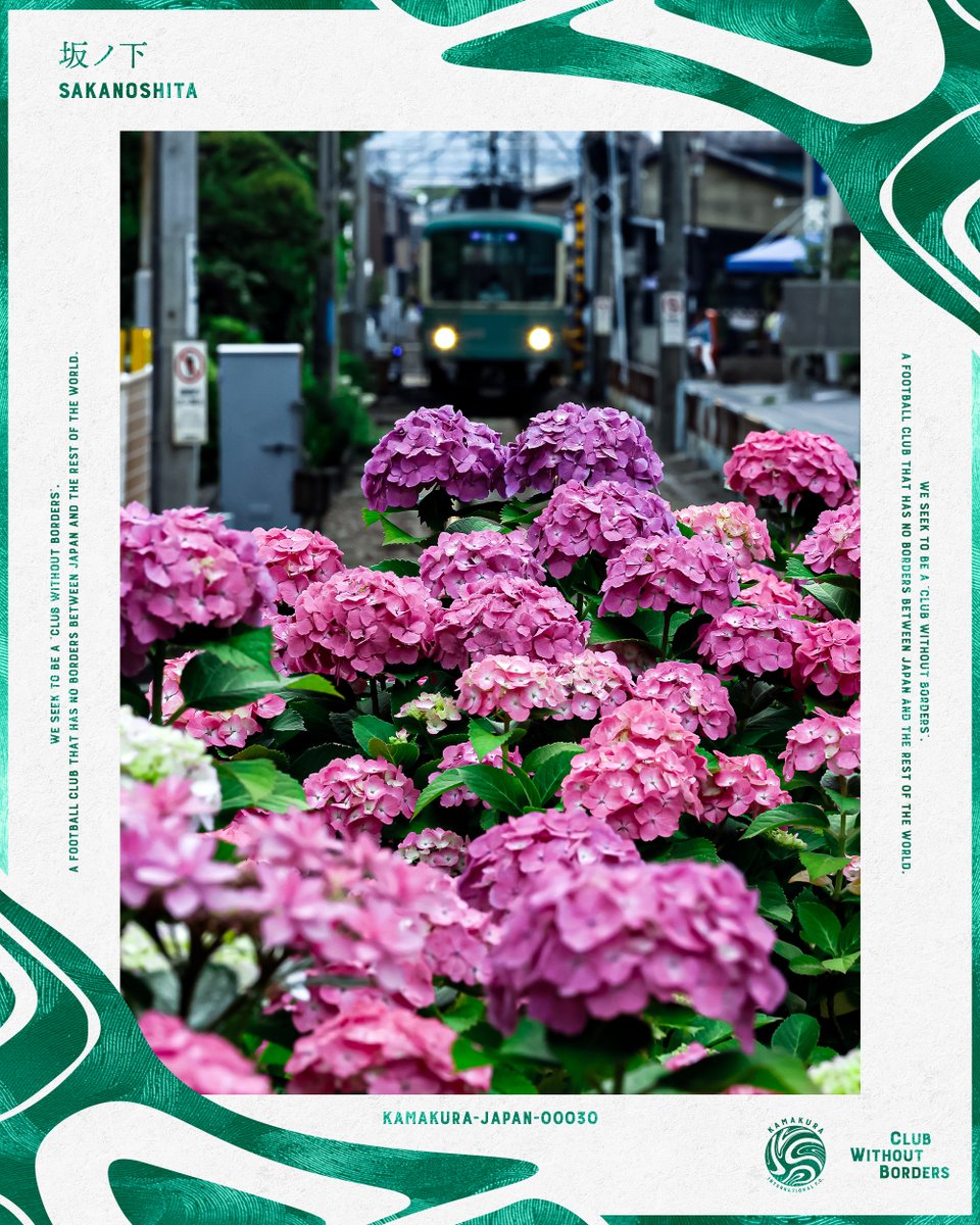kamakura_inter's tweet photo. #NFT コンテンツ「#鎌倉 デジタルコレクション」、紫陽花シリーズの第2弾として「坂ノ下」が登場🟢

限定1枚、FiNANCiE @financie_jp 鎌倉インテルトークン保有者限定でご購入いただけます！

👉詳細はこちら
https://t.co/eWnldaNSzF

#鎌倉インテル 
#clubwithoutborders
#FiNANCiE https://t.co/uHLjNW7Puz