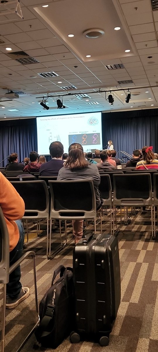 elleymental's tweet photo. Wrapping up #RACI2022 with another cracking talk by @lizjnew of @newgroupchem https://t.co/NzuAdvREOy