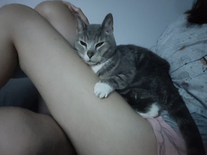 Ignore the other leg, it's my boyfriend's knee, lol https://t.co/zMBZKKtkEJ