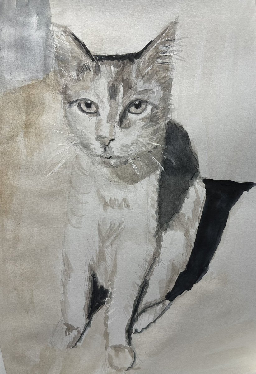 Siempre hay gente que se preocupa por los gatos. A ti te buscan por las redes sociales, les suena tu cara. Tú solo sabes llorar 😢 😿
#piedad_manchon_art #art #adoptaungato #noabandonesatumascota #SonFamilia #sketchbook