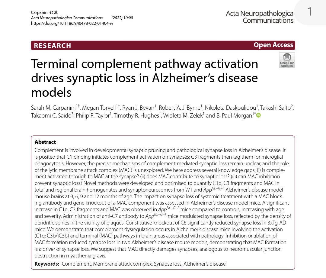 SarahCarpanini's tweet photo. Excited to share our latest paper "Terminal complement pathway activation drives synaptic loss in AD models"
https://t.co/y0nyUnPe1X
@MTorvell @daskoulidou @DrRyanJBevan @Complement_BG @UKDRI https://t.co/uE4O9WqT1S