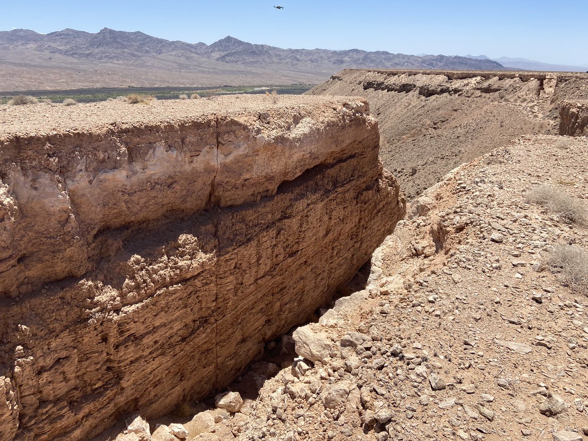 Myles Sutherland tweet media